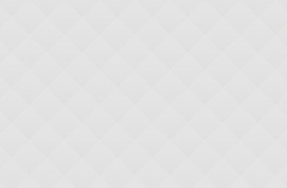 grey_02 The Most Important Voter`s Things?