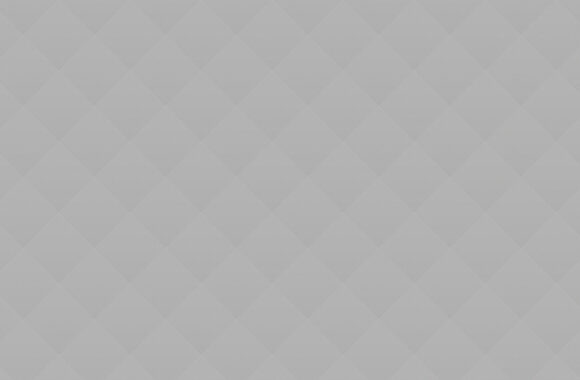 grey_05 The Significant Political Campaigns