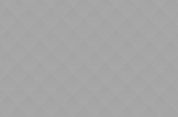 grey_06 Politicians Life: Interesting Facts About Famous People