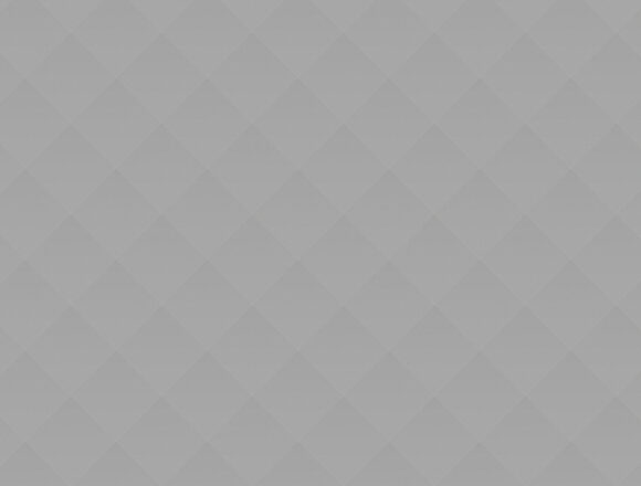 grey_06 The Strength of Democracy